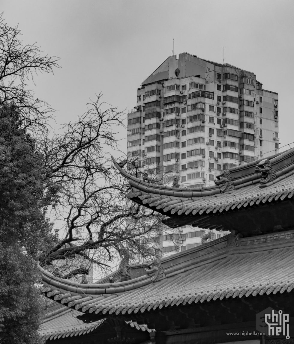 20230211-DSC02173.jpg