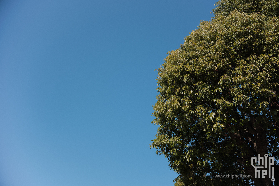 DSCF6665.jpg