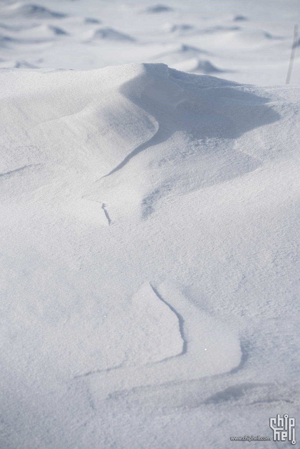 在鹤岗到伊春路上林场里的雪。 摄影：王汉洋