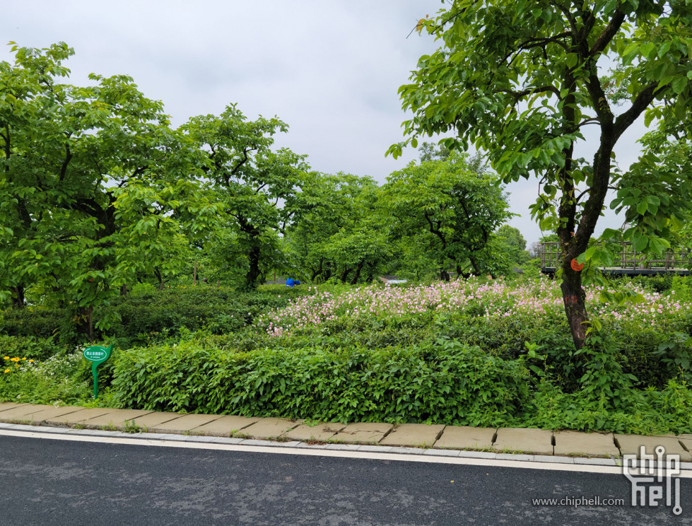 20230507_101656.jpg