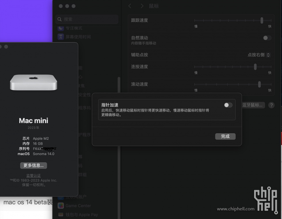 1686363066697.jpg