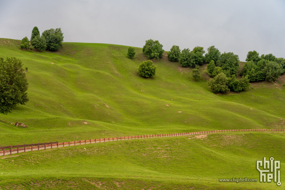 蜂蜜浏览器_DSC03442-HDR.jpg