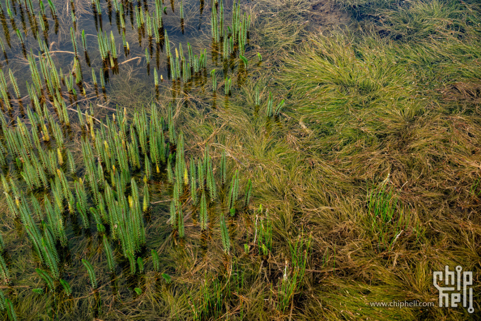 蜂蜜浏览器_DSC03974-HDR.jpg