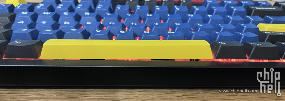 鹦鹉螺010a.jpg