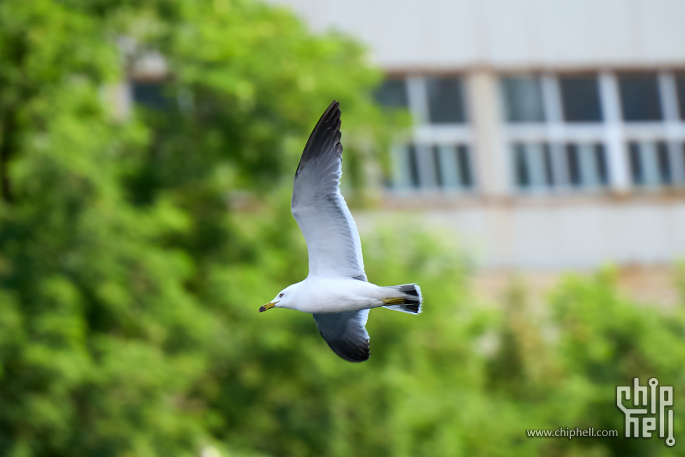 DSC01175.jpg