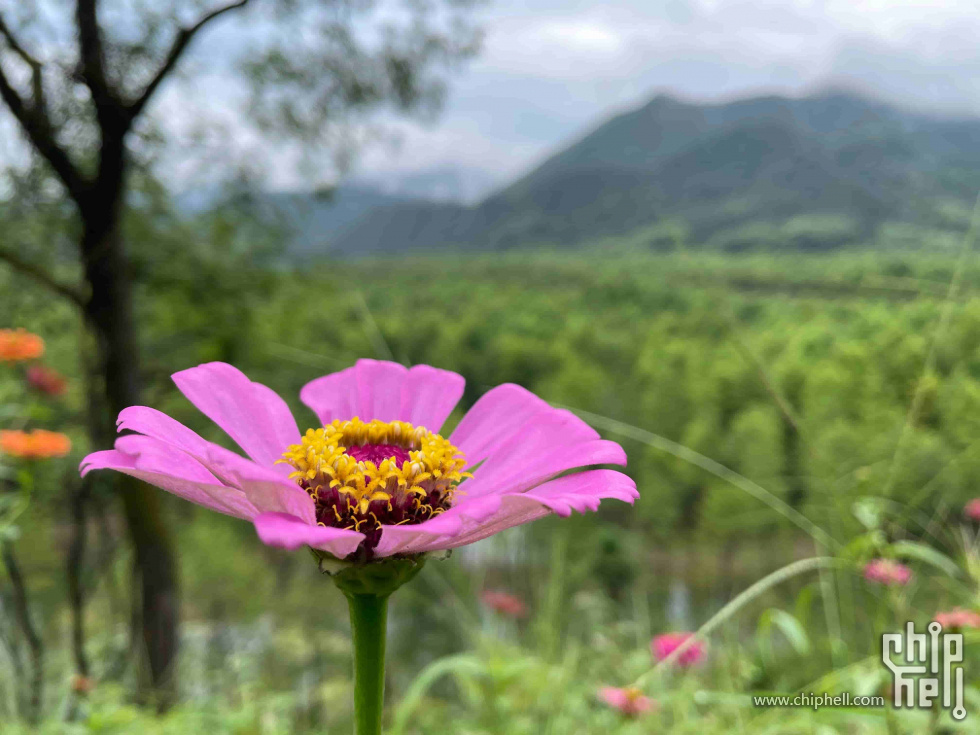 骑行皖南川藏线26.jpg