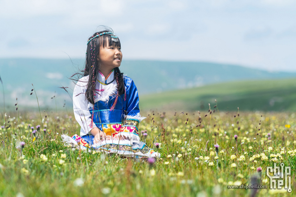 草地和野花很美