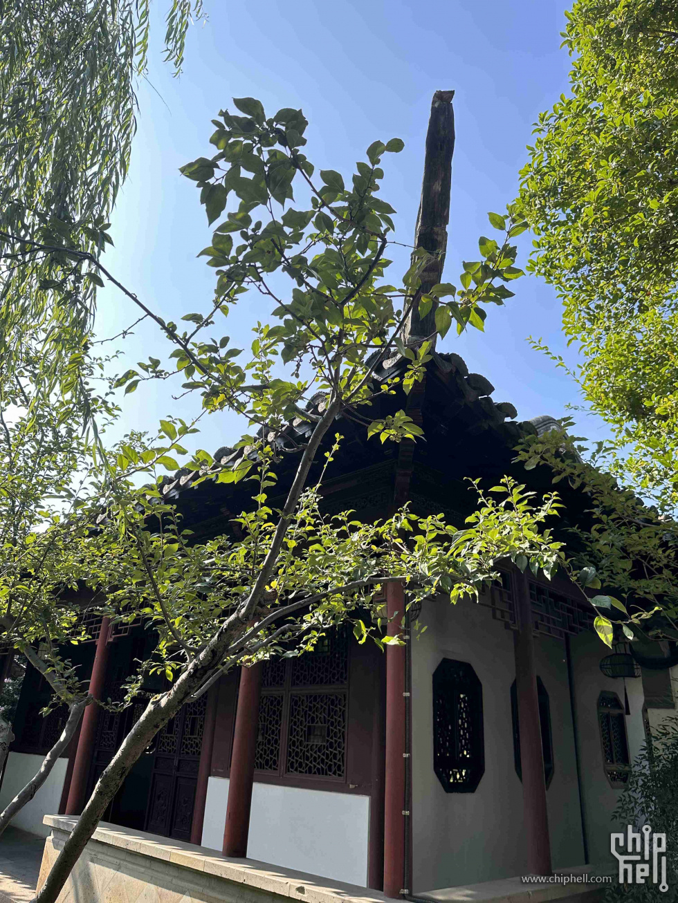 109.jpg