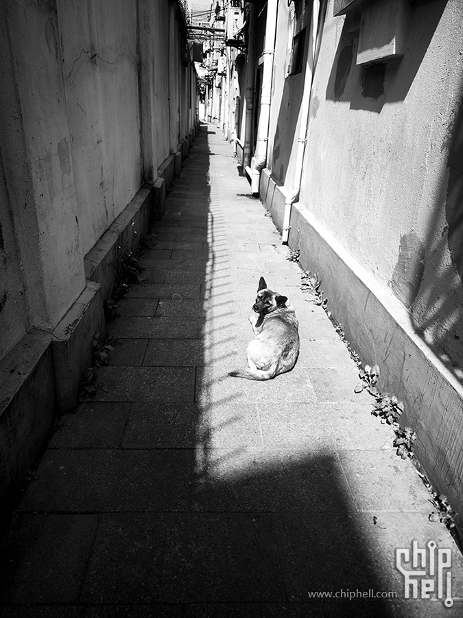 IMG10.jpg