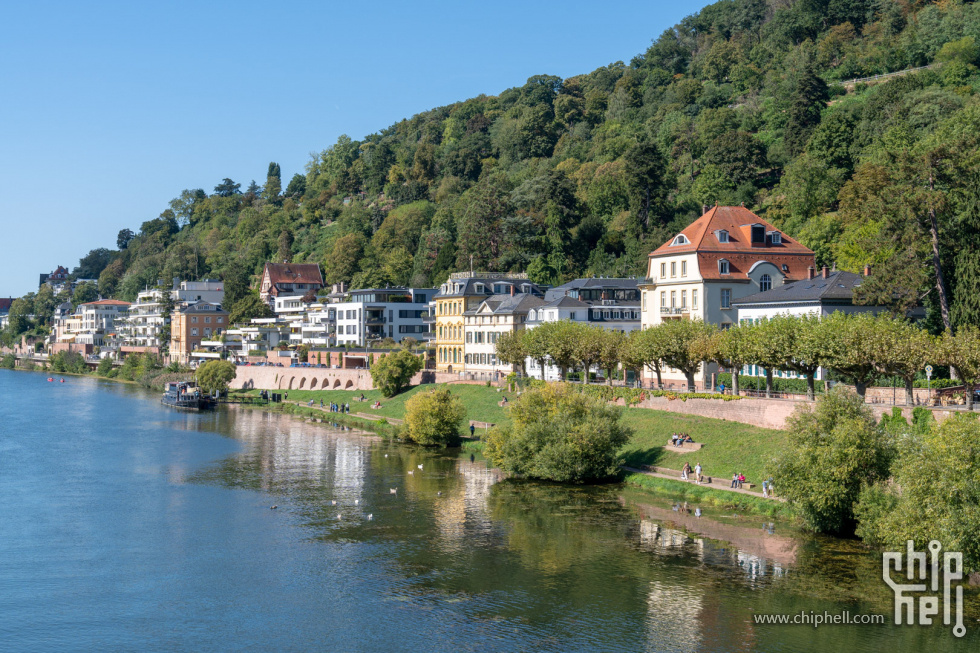 Heidelberg-02639.jpg