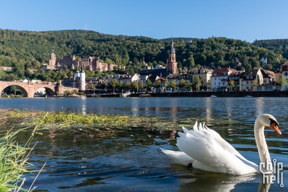 Heidelberg-02923.jpg
