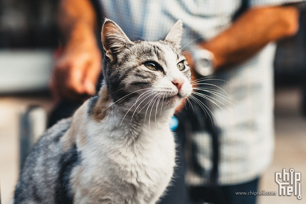 Italia-20141007-1Z6A2134.jpg