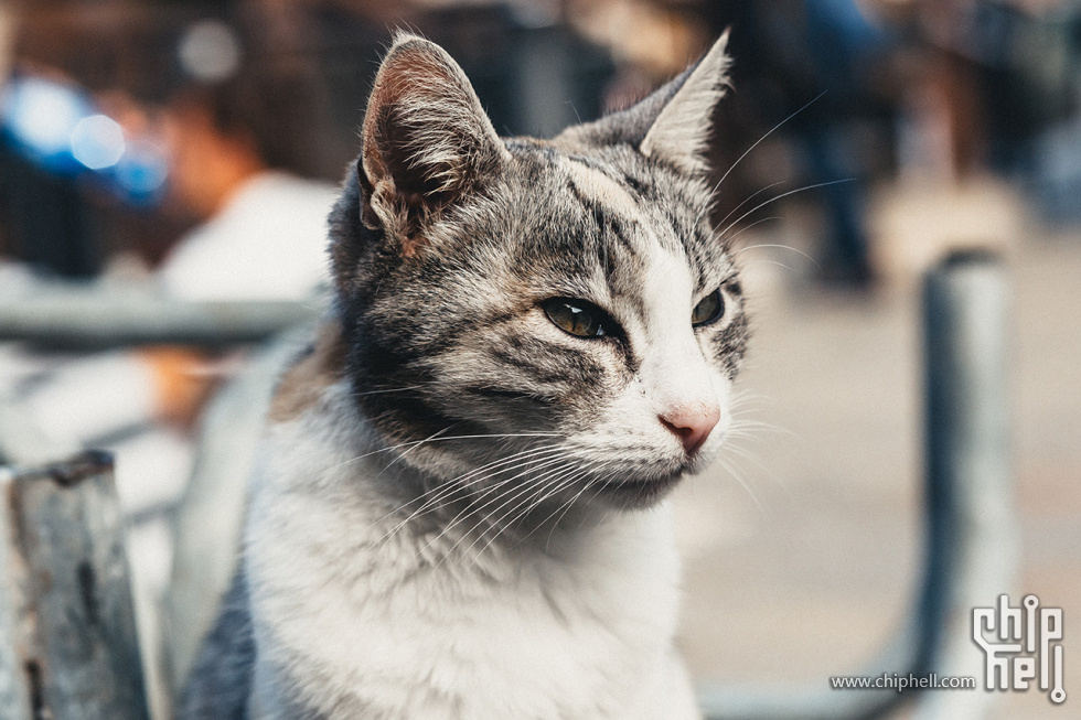 Italia-20141007-1Z6A2137.jpg