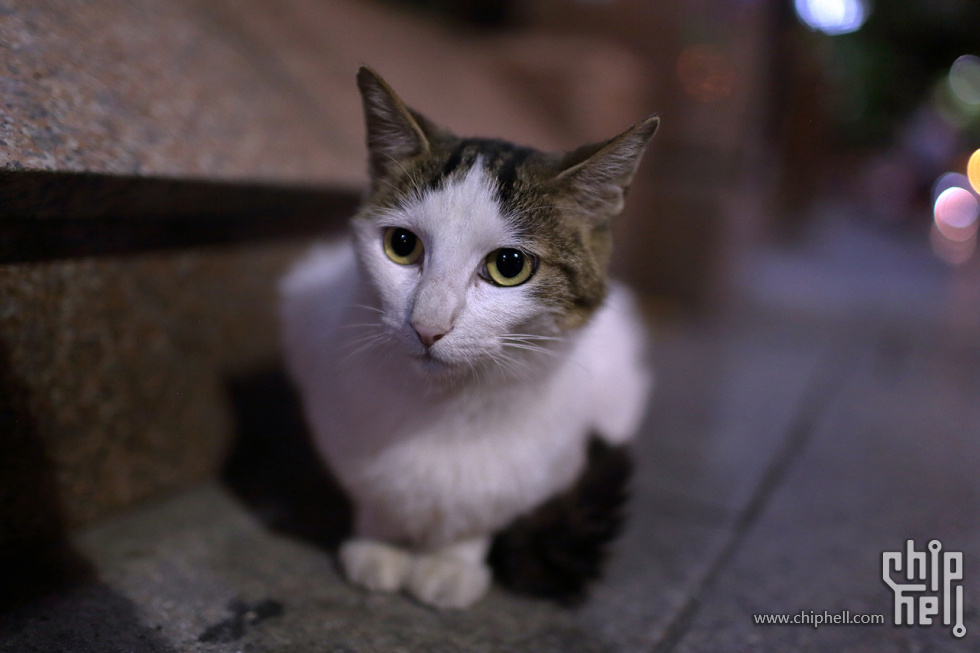 SH-20150917-1Z6A1144.jpg