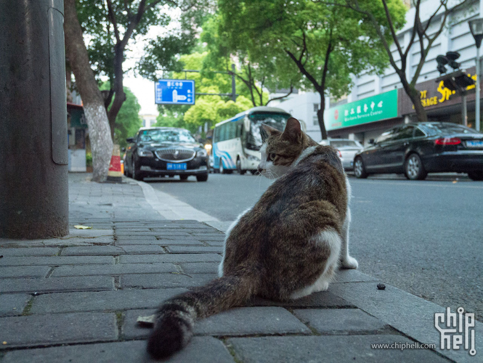 江浙-20160610-P1040088.jpg