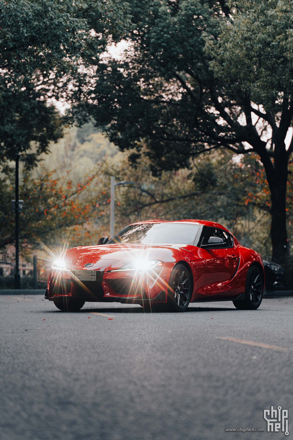 _A912407.jpg