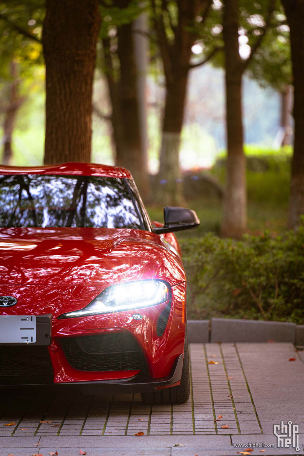 _A912389.jpg