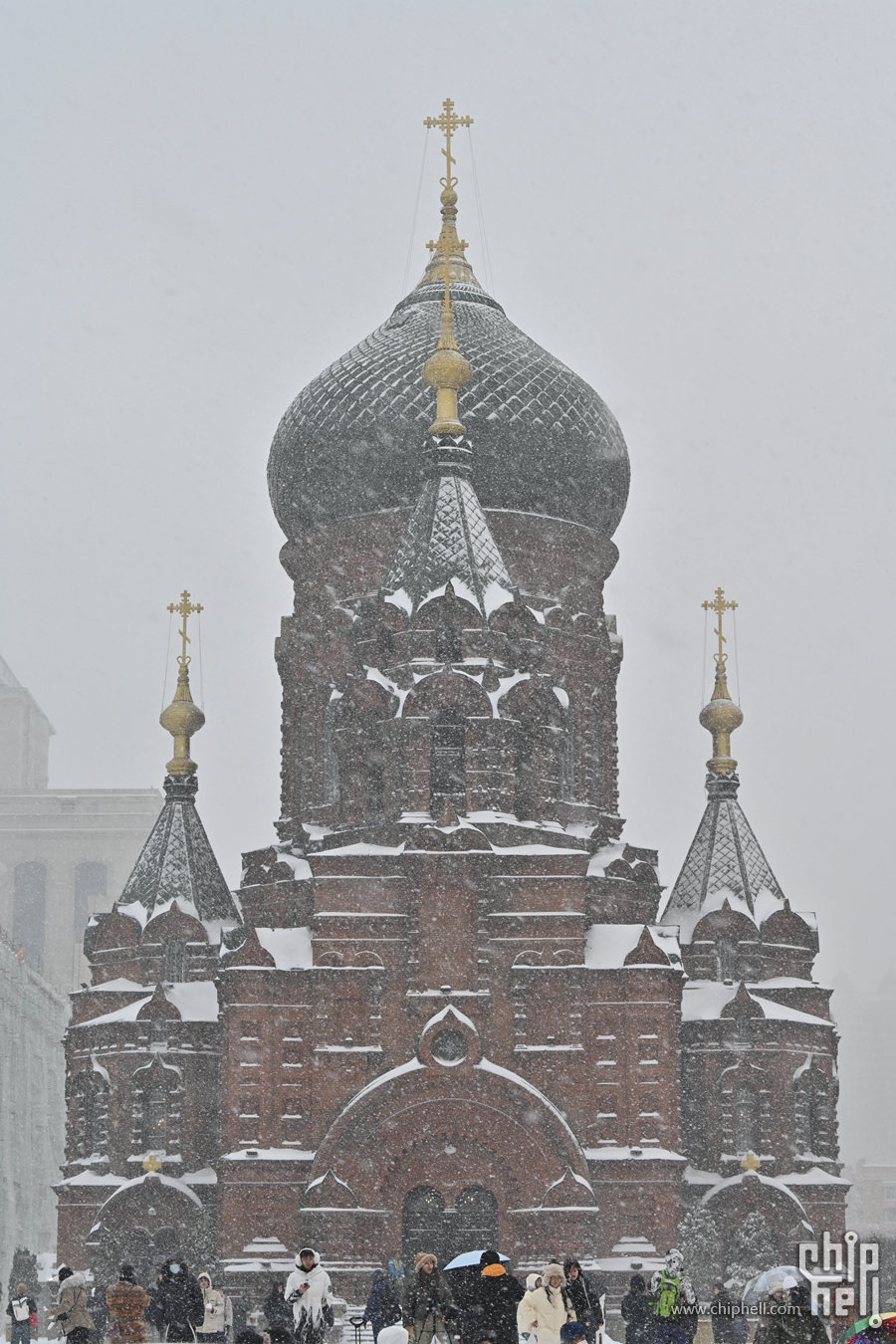 DSC_7932_副本.jpg