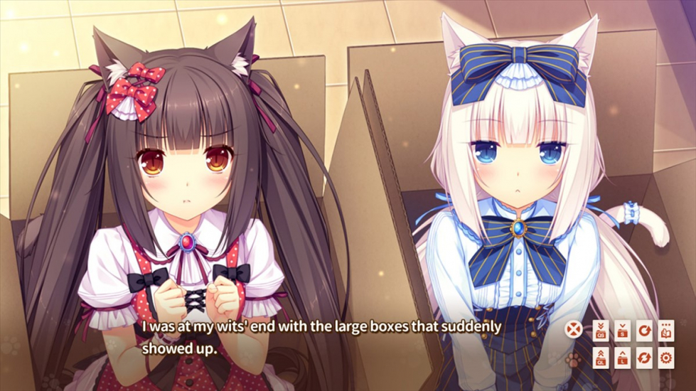 nekopara.jpg