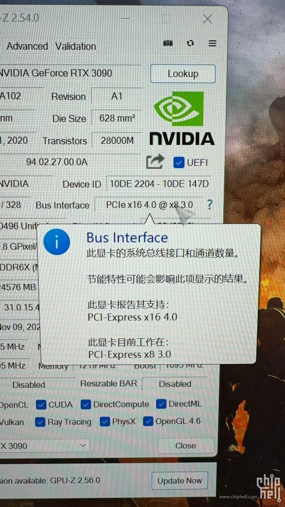 554091701761400_.pic.jpeg