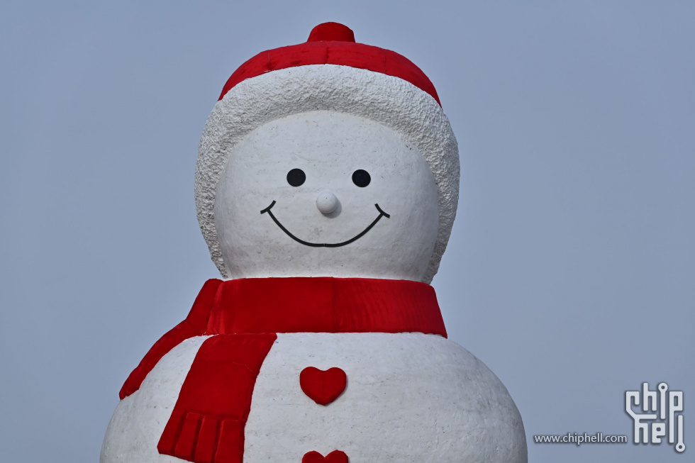 DSC_8727.JPG