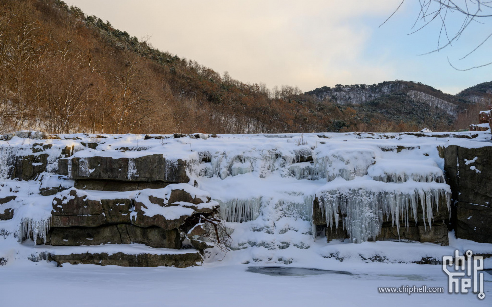 _DSC4036.jpg
