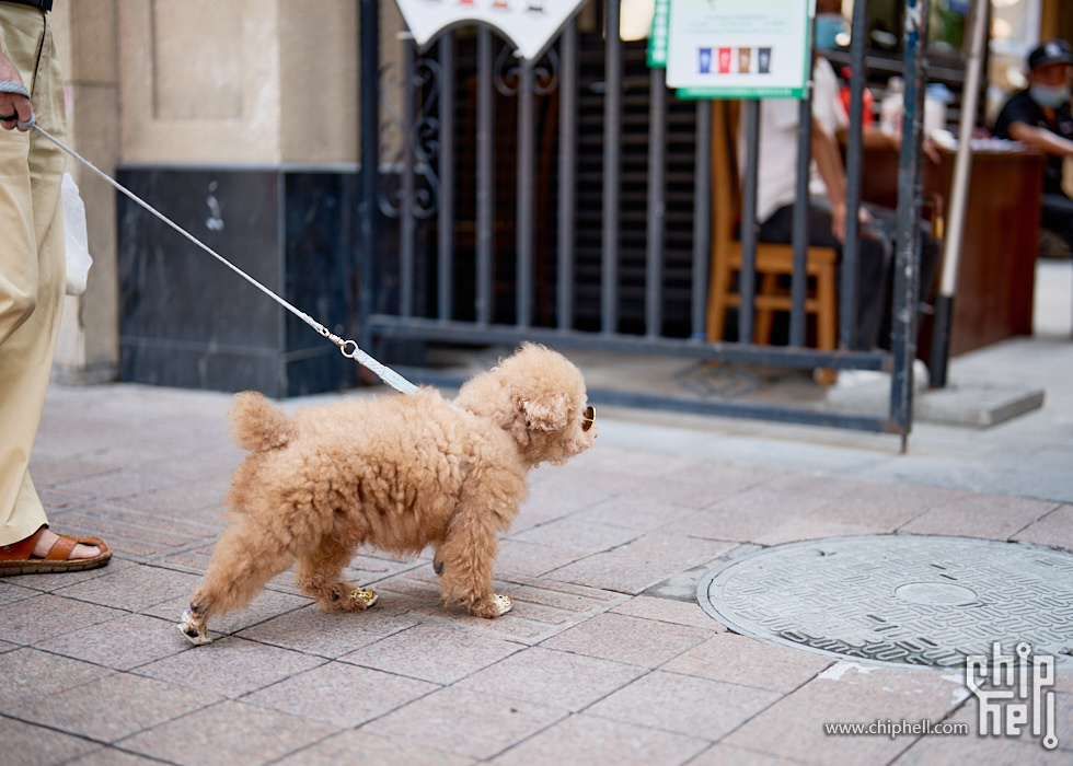 A1_05175.jpg
