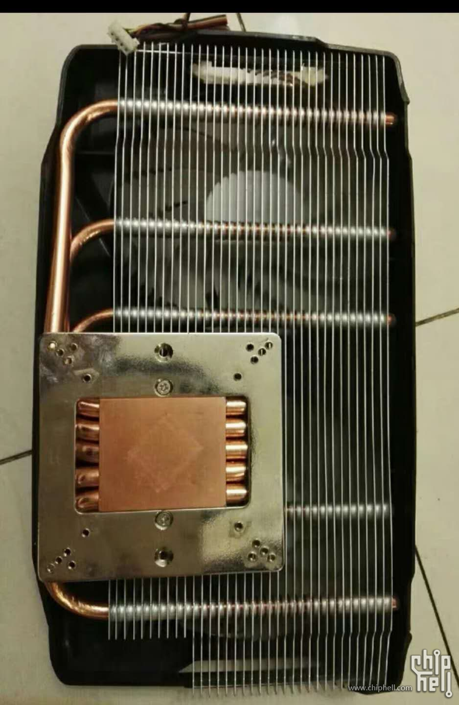 mmexport1706969942928.jpg
