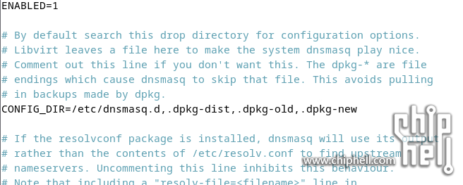 07.DNSMASQ-Default-Config.png