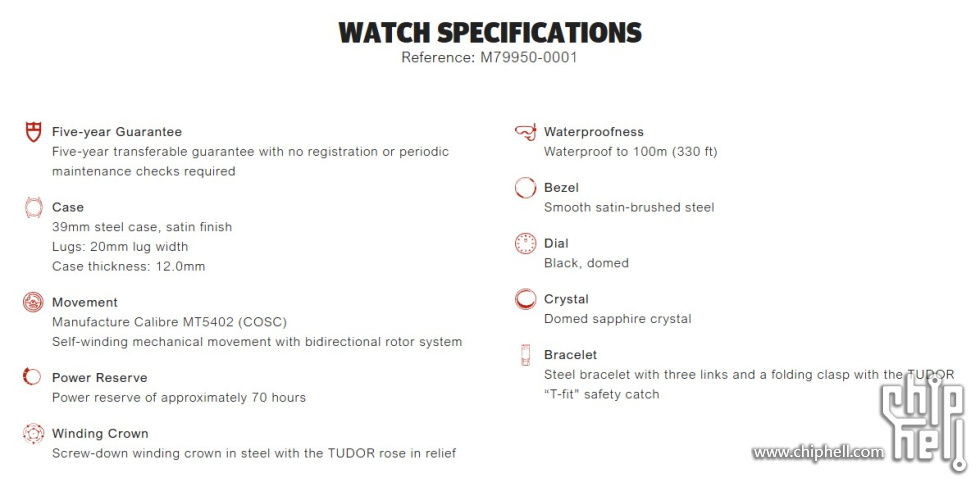 Tudor Website_2.jpg