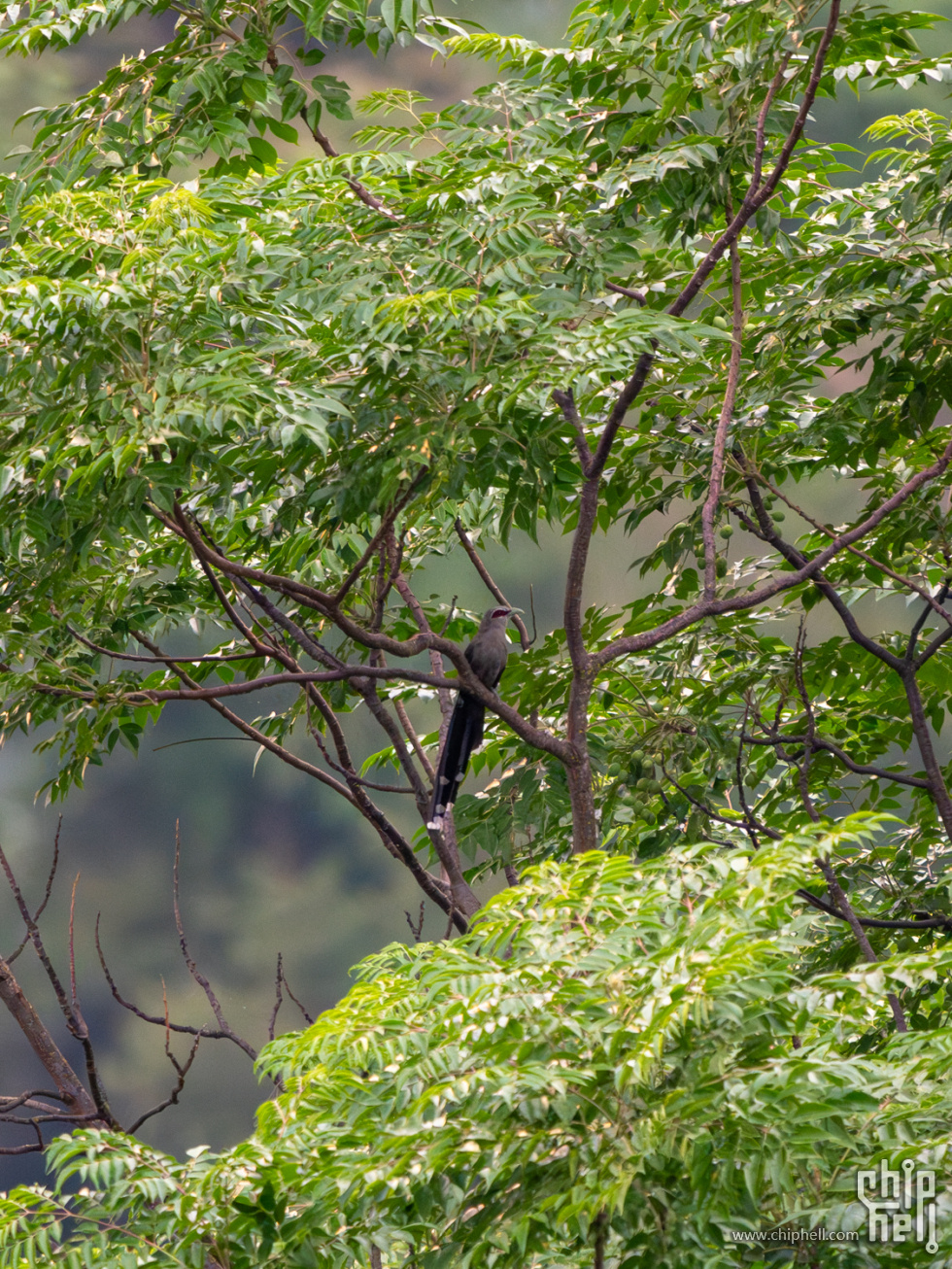 DSC05287-已增强-降噪.jpg