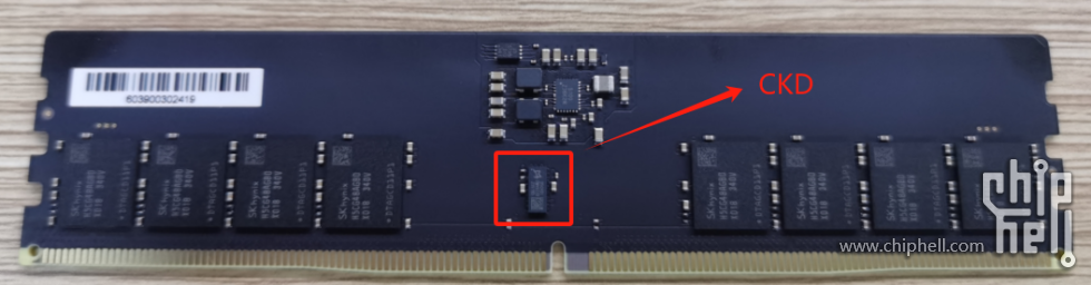 CUDIMM 实物图