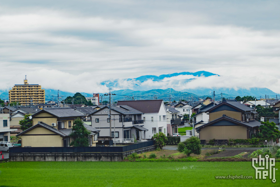 P1239168-已增强-降噪.jpg