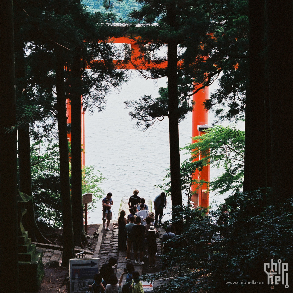 箱根神社下的大鸟居