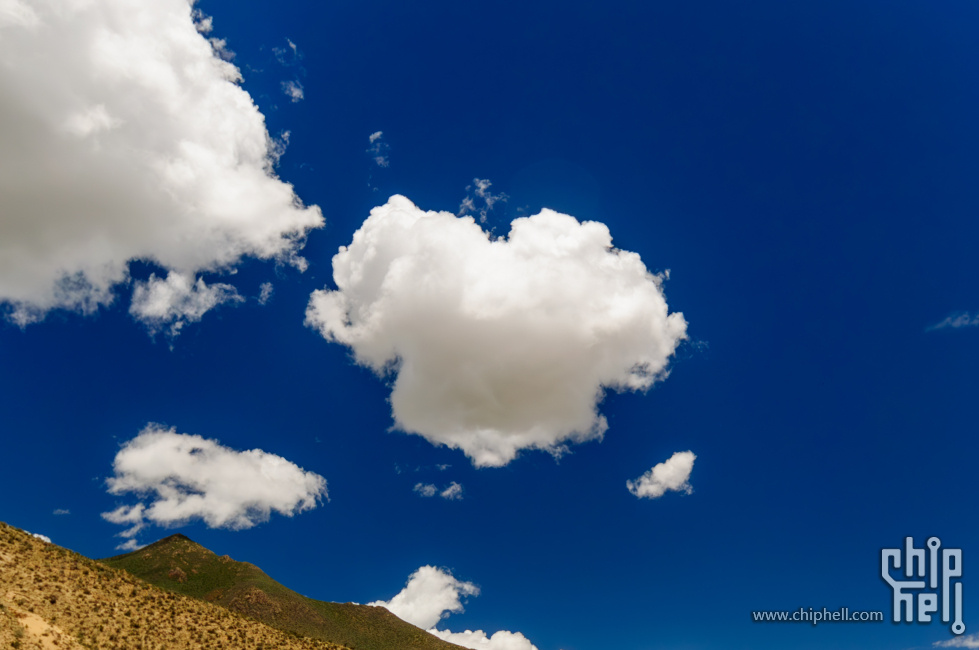 _DSC1356-已增强-降噪.jpg