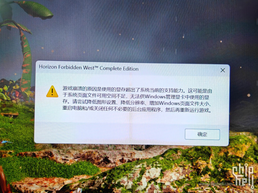 1000003919.jpg