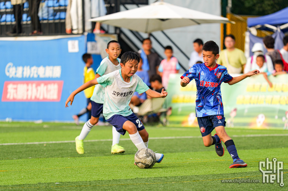 P1281665.jpg