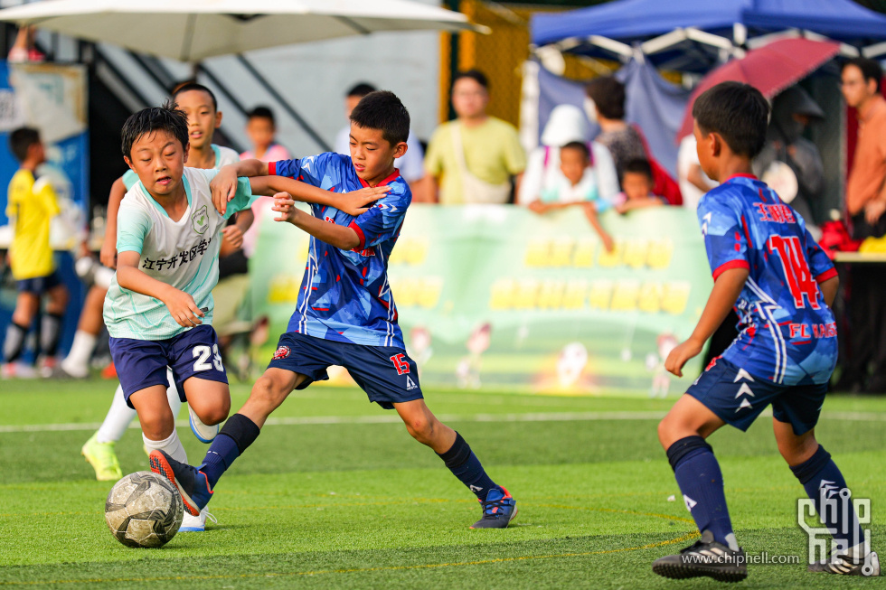 P1281667.jpg