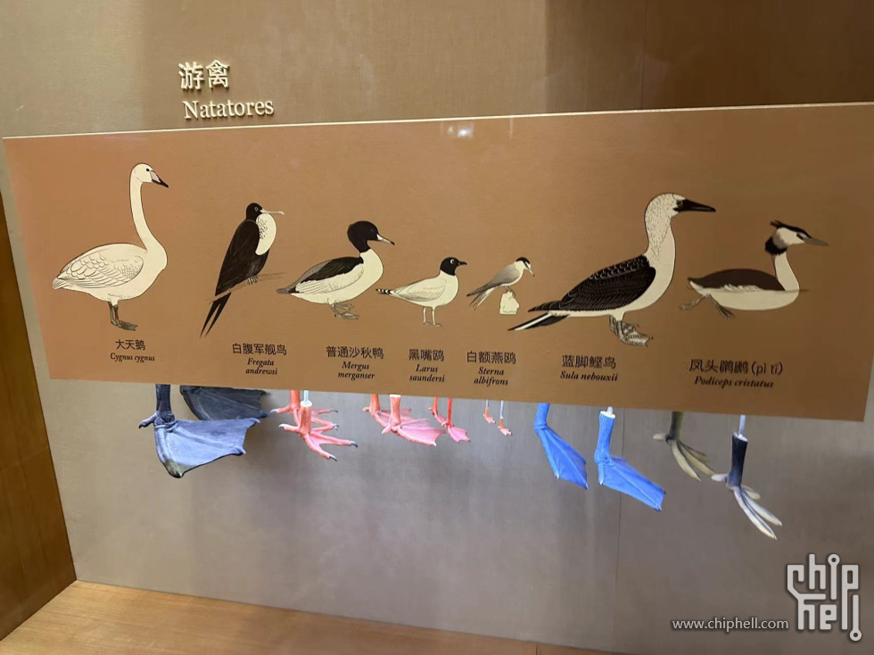 微信图片_20240820215314.jpg