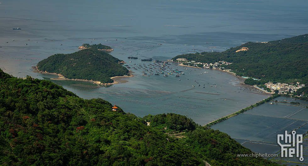 DSC01949-已增强-降噪_副本.jpg