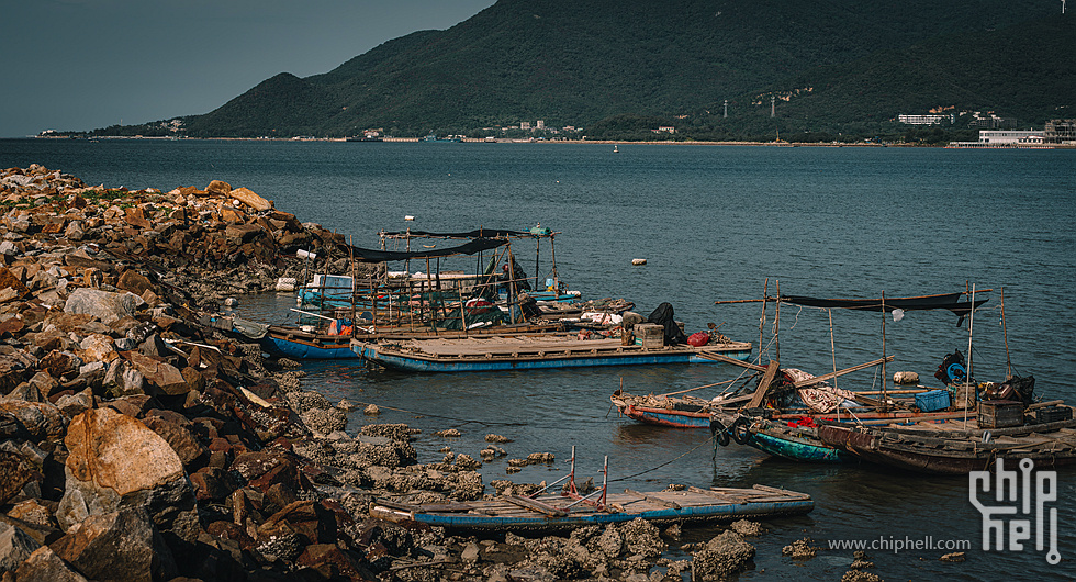 DSC01976-已增强-降噪_副本.jpg