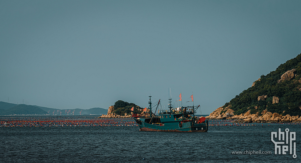 DSC02015-已增强-降噪_副本.jpg