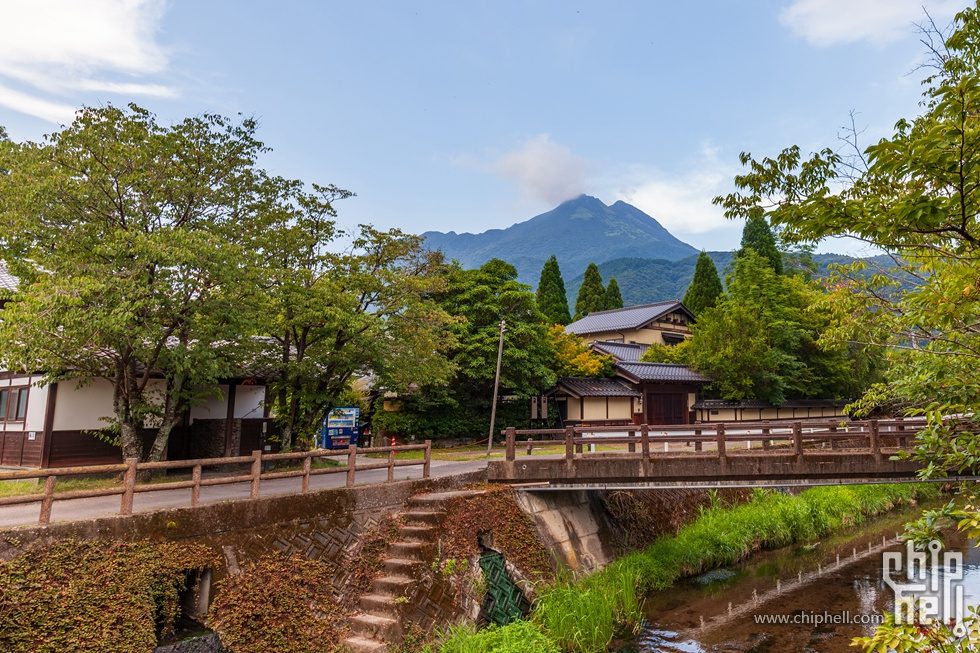 IMG_7540-已增强-降噪.jpg