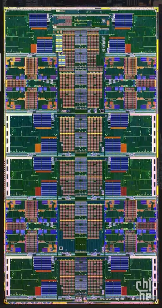 1000041031.jpg