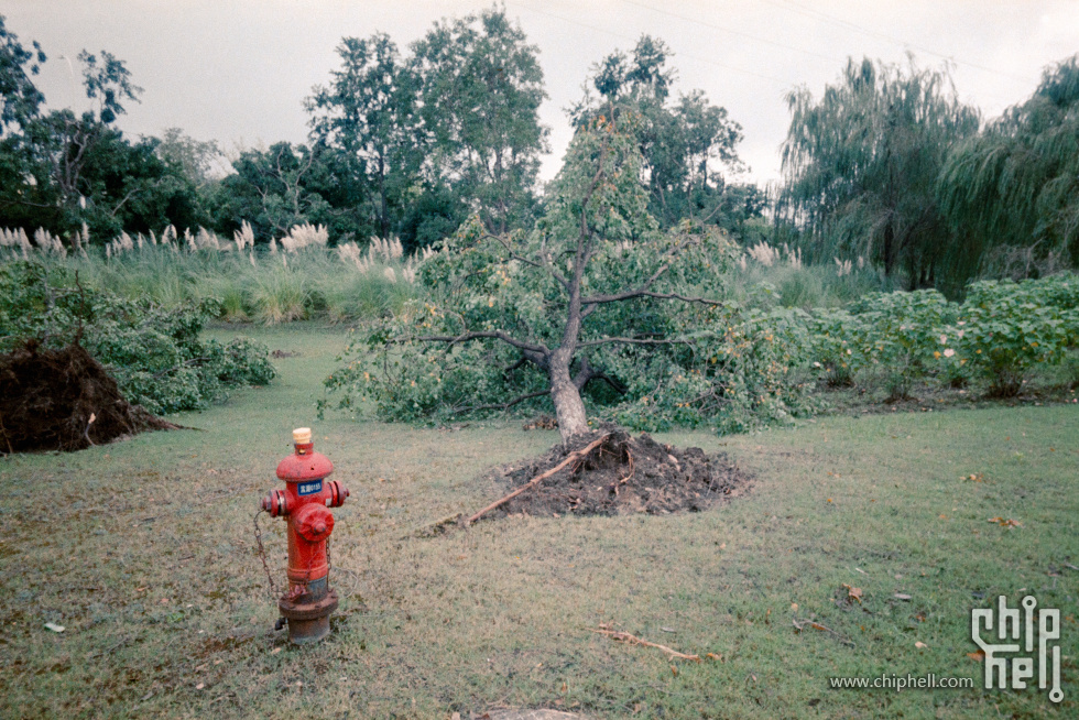 295 GR1s Lomo400.jpg