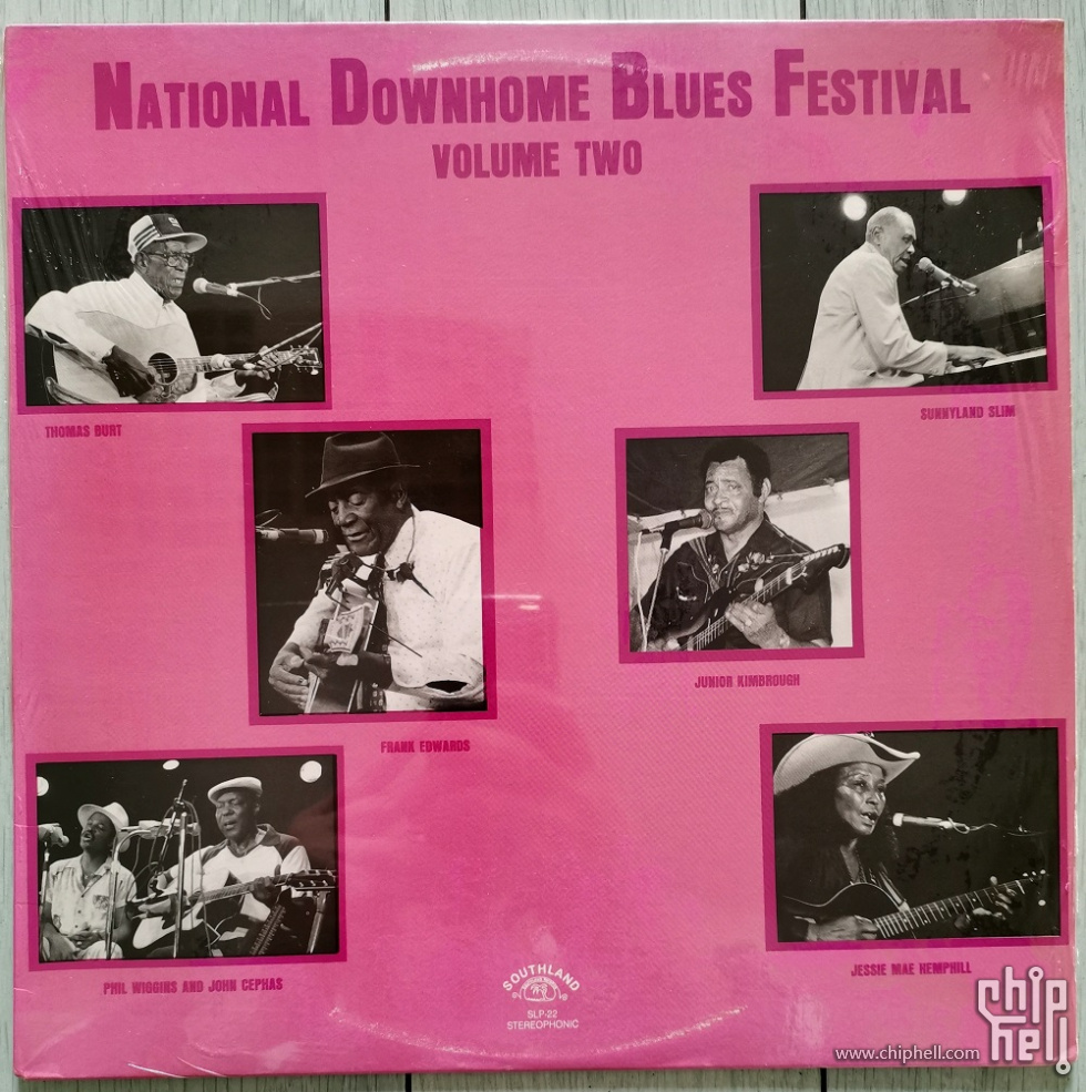 布鲁斯8-NationalBluesFestival.jpg