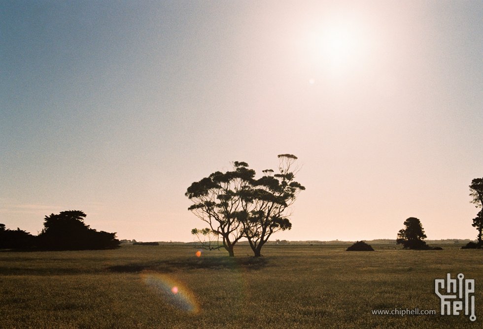 胶卷20191118-1_柯达PROIMAGE100-21-1.jpg