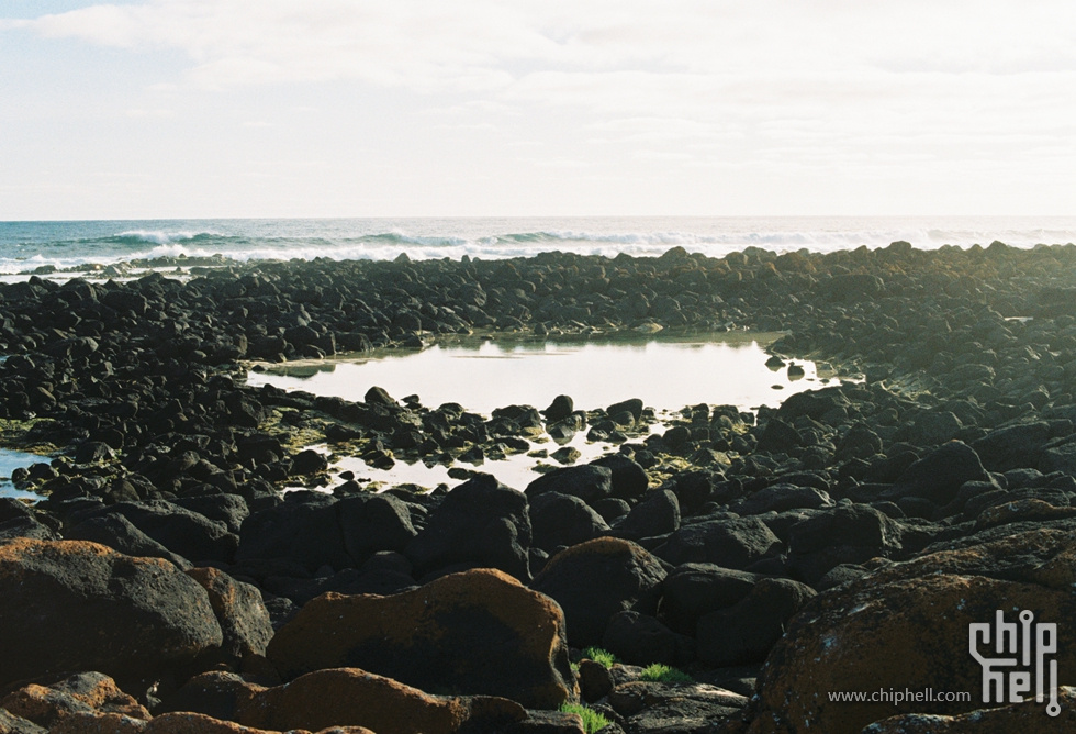 胶卷20191118-3_柯达PROIMAGE100-38-1.jpg