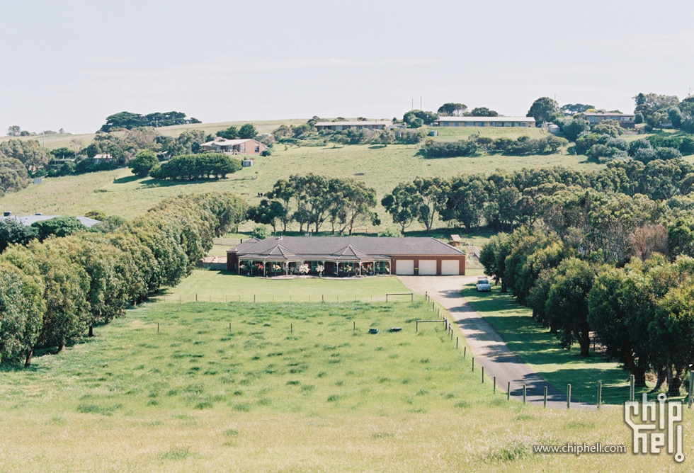 胶卷20191118-4_柯达PROIMAGE100-33-1.jpg