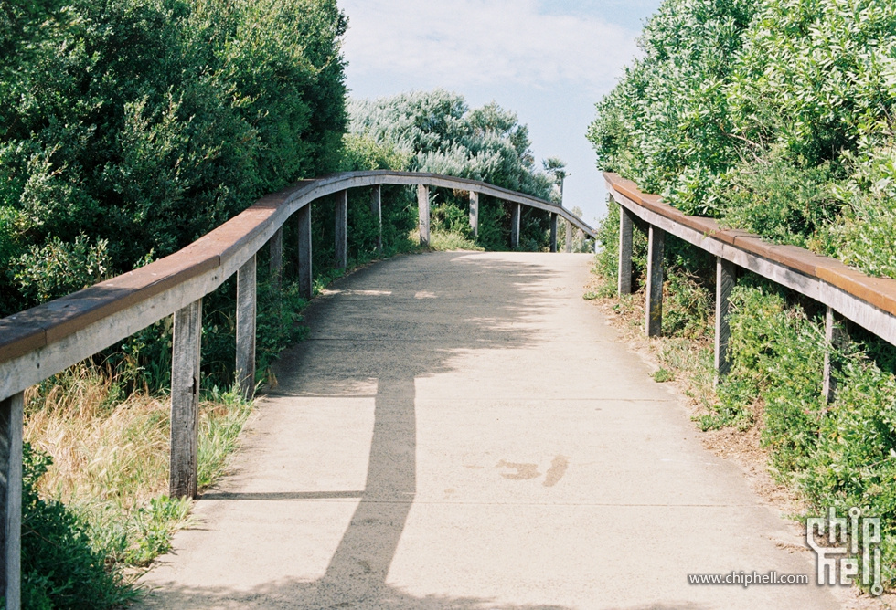 胶卷20191118-4_柯达PROIMAGE100-36-1.jpg